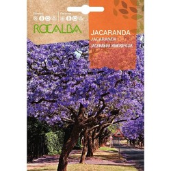 SEMILLAS JACARANDA