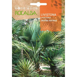 SEMILLAS LIVISTONA