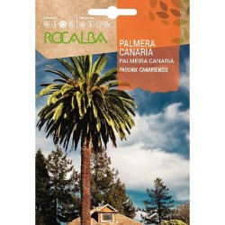 SEMILLAS PALMERA CANARIA