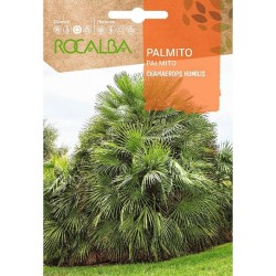 SEMILLAS PALMITO
