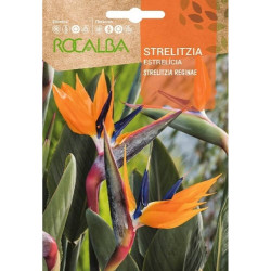 SEMILLAS STRELITZIA