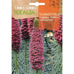 SEMILLAS TAJINASTE ROJO