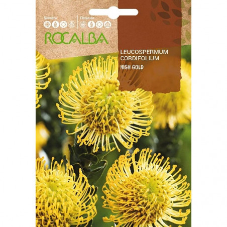 SEMILLAS LEUCOSPERMUM CORDIFOLIUM HIGH GOLD