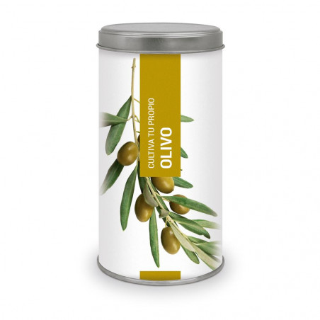 CULTIVA TU PROPIO OLIVO