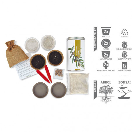CULTIVA TU PROPIO OLIVO