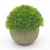 BOJ ARTIFICIAL MIX 12CM MACETA