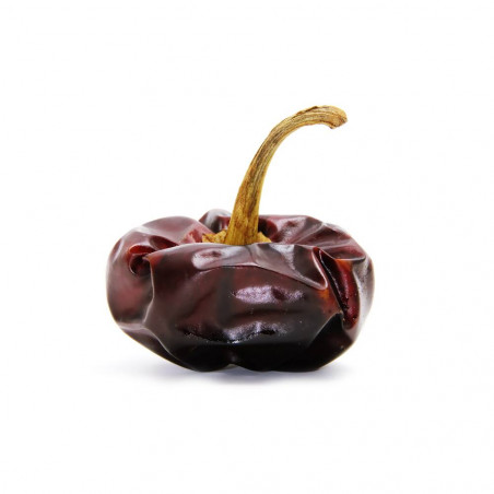 PIMIENTO ÑORA EN MACETA