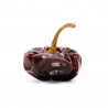 PIMIENTO ÑORA EN MACETA