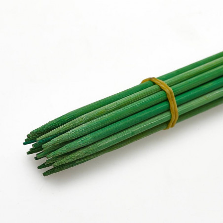 TUTOR PLANTÓN HUERTO 30CM X20 VERDE VERDECORA