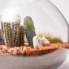 TERRARIO LA PAZ L CACTUS