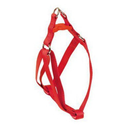 ARNES PERRO ROJO