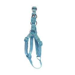 ARNES PERRO AZUL AGUAMARINA