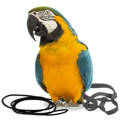 ARNES PÁJARO AVIATOR NEGRO