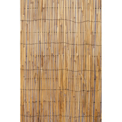 OCULTACIÓN NATURAL DE BAMBÚ CHINO