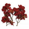 CORNUS ARTIFICIAL ROJO 78CM