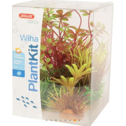 PLANTKIT WIHA N°4 JALAYA 2