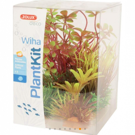PLANTKIT WIHA N°4 JALAYA 2