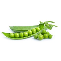 GUISANTE 6 PLANTAS
