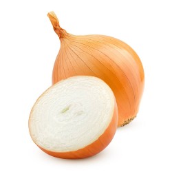 CEBOLLA BABOSA MACETA 11CM