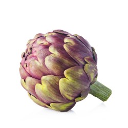 ALCACHOFA MORADA EN MACETA