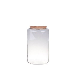 TERRARIO CRISTAL D19XH30  MODELO 2