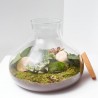 TERRARIO DANANG L D36 H26
