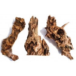 MADERA RIVEREST OPUWA M