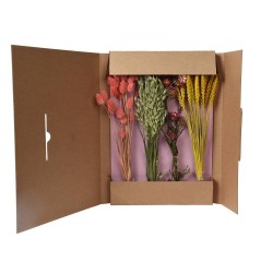 SET DE FLORES SECAS COLORES