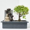 BONSÁI 3 AÑOS EN BASE AUTORIEGO Y DECORACIÓN ZEN