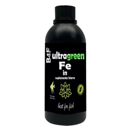 B4F ABONO HIERRO FE IN 100 ML