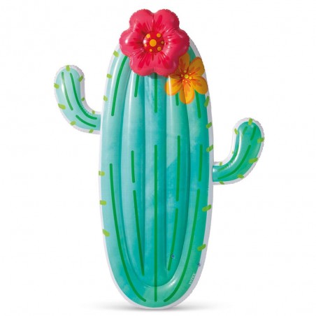CACTUS FLOR COLCHONETA