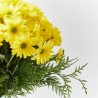 RAMO PALERMO AMARILLO