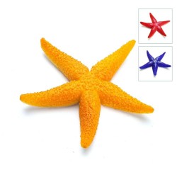 ESTRELLA DE MAR FLUORESCENTE (L)
