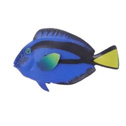 PARACANTHURUS HEPATUS FLUORESCENTE