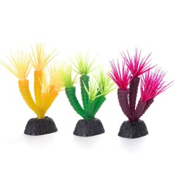 CORAL TIPO C FLUORESCENTE