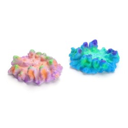 CORAL TIPO G FLUORESCENTE
