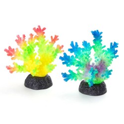 CORAL TIPO D FLUORESCENTE