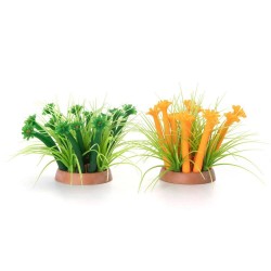 CORAL TIPO A FLUORESCENTE