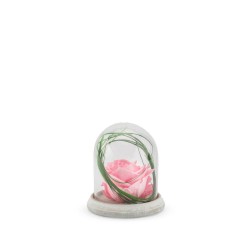 CAMPANA CEMENTO XS ROSA ROSA