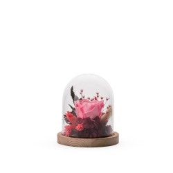 CAMPANA MIX ROSA ROSA