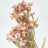 FLOR CERA FUCSIA 78CM VARA
