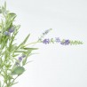 RAMA LAVANDA. 96 CM. LAVANDA.