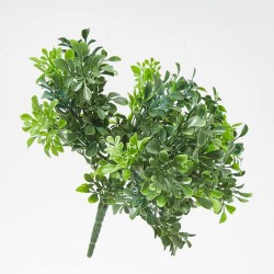 BUSH BOXWOOD. 28 CM. VERDE.