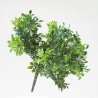 BUSH BOXWOOD. 28 CM. VERDE.