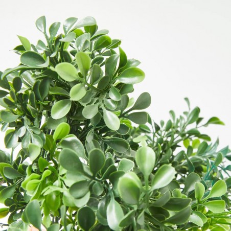 BUSH BOXWOOD. 28 CM. VERDE.