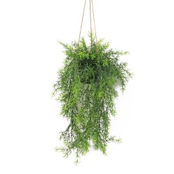 MACETA COLGANTE ESPARRAGUERA