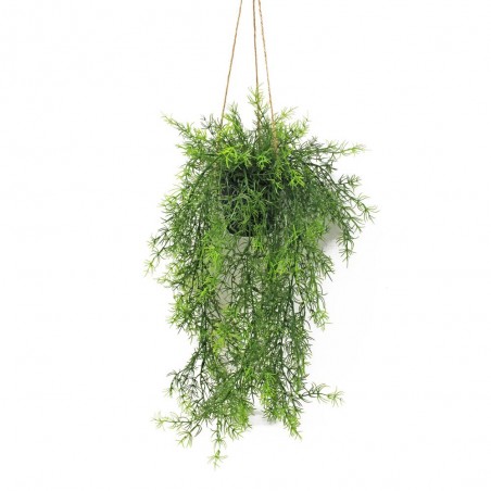 MACETA COLGANTE ESPARRAGUERA