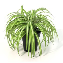 CINTA ARTIFICIAL MACETA