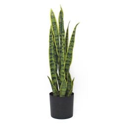 SANSEVIERA ARTIFICIAL 