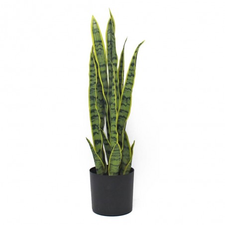 SANSEVIERA ARTIFICIAL 